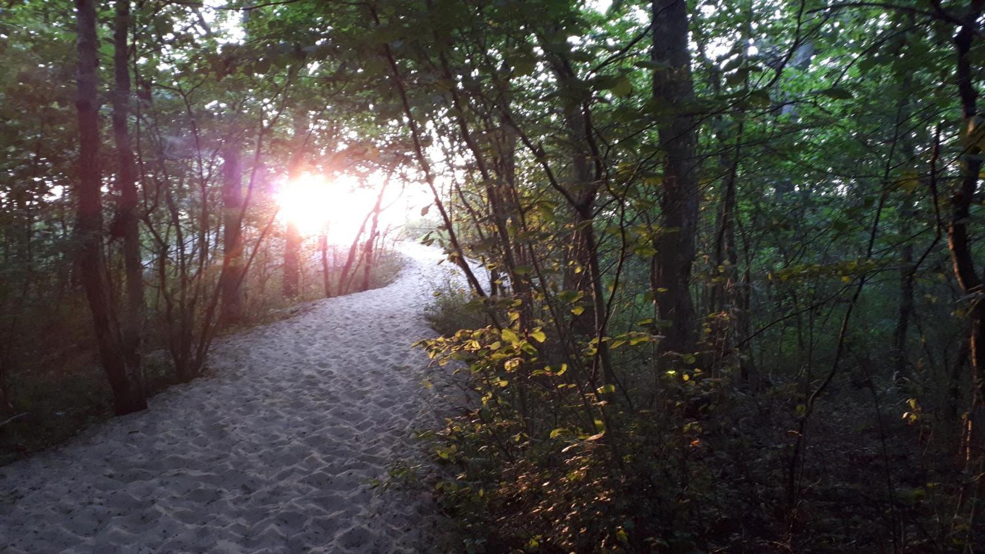 Domki Weekend Rusinowo  Bagian luar foto